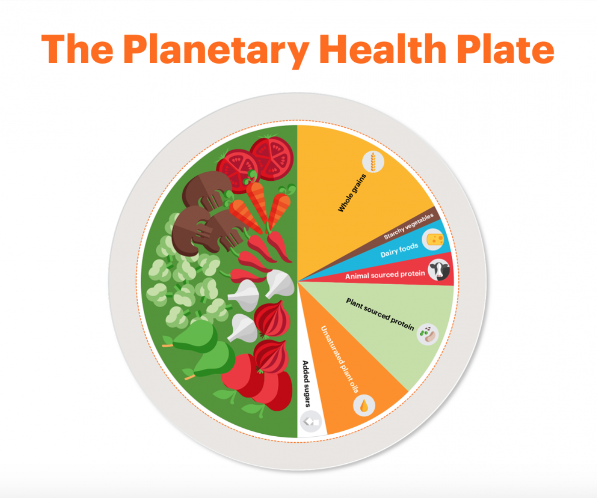the planetary health plate