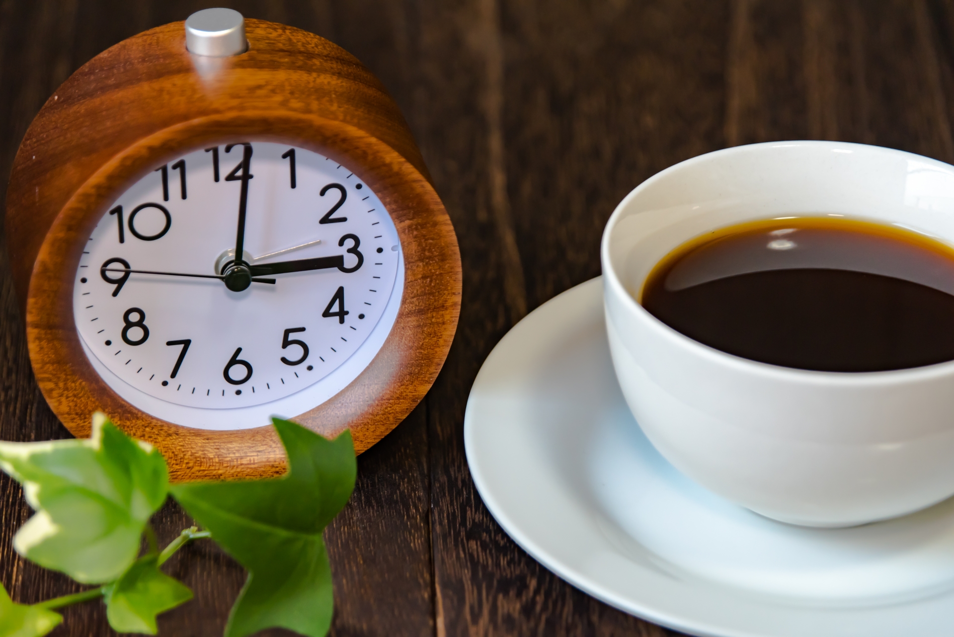 コーヒーの科学　カフェイン代謝にかかる時間
