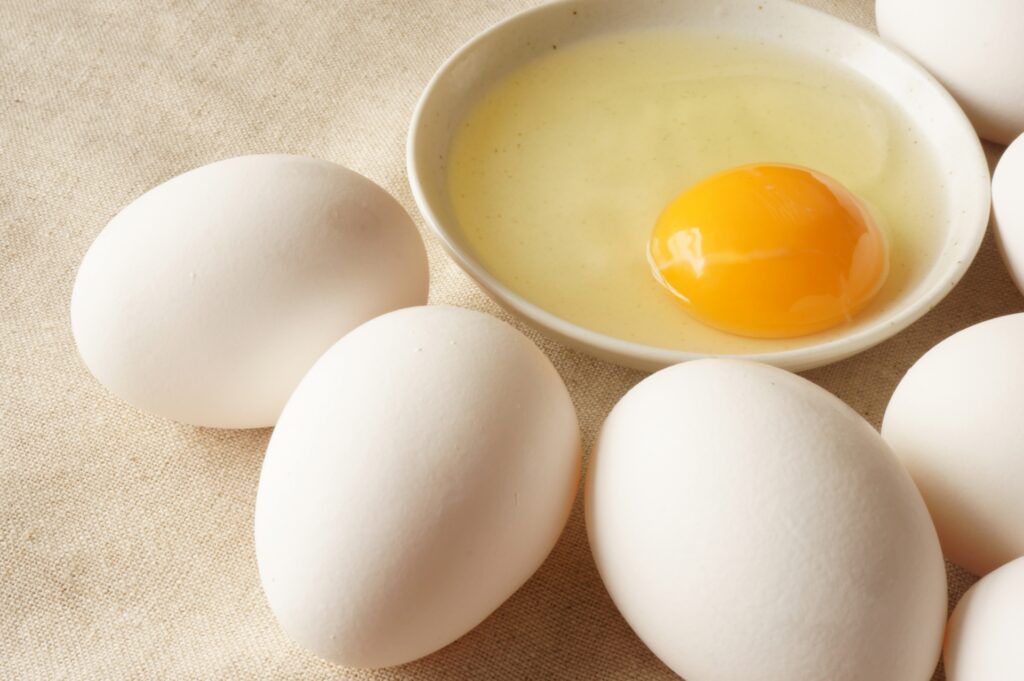 卵　タンパク質