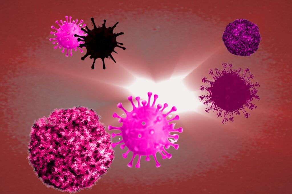 ウイルスと免疫機能
